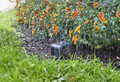 Sklep nawadnianie Gardena czójniki wilgotności ogrodu smart sensor Gardena19040-20.jpeg