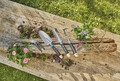 Gardena łopatki do kwiatów narzędzia Gardena17700-20.jpeg